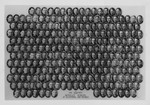 Graduating Class Photo, Day Division, 1931 by Bentley University