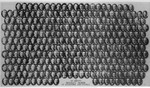 Graduating Class Photo, Day Division, 1932 by Bentley University