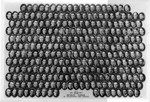 Graduating Class Photo, Day Division, 1933 by Bentley University
