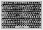 Graduating Class Photo, Day Division, 1936 by Bentley University