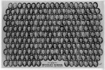 Graduating Class Photo, Day Division, 1937 by Bentley University