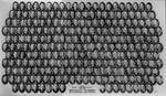 Graduating Class Photo, Day Division, 1938 by Bentley University