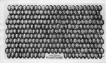 Graduating Class Photo, Evening Division, 1939 by Bentley University