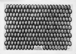 Graduating Class Photo, Day Division, 1940 by Bentley University