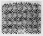 Graduating Class Photo, Day Division, 1948 by Bentley University