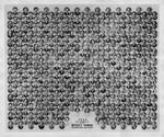 Graduating Class Photo, Day Division, 1949 by Bentley University