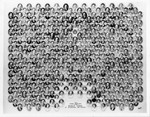 Graduating Class Photo, Evening Division, 1950 by Bentley University