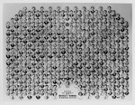 Graduating Class Photo, Day Division, 1951 by Bentley University
